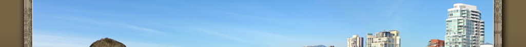 banner1