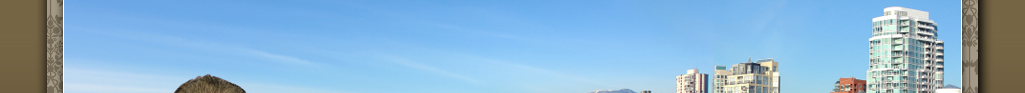 banner1